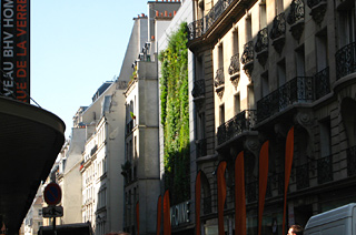 Фитостена BHV Homme. Париж