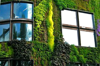  Musee du quai Branly. 