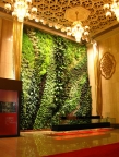 Green Symphony. Taipei Concert Hall. Patrick Blanc project