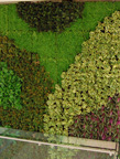 Interior Green Wall in NYC. : capitolgreenroofs.groupsite.com