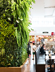 V&#228;sby Centrum, Stockholm.  Green Fortune company