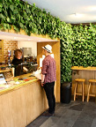 Plantwall 2010, Yu-foria, London.  Green Fortune company